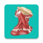 easy anatomy. medical atlas android application logo